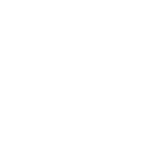 Vector Vector
